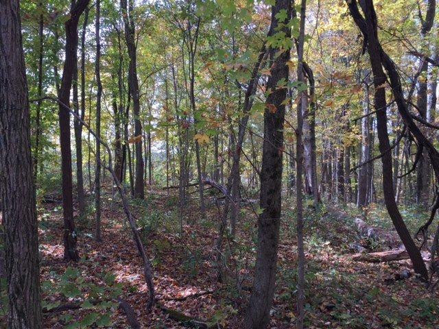 9250 Napoleon-Zion Station Road Dry Ridge, KY 41035 - Photo 6 of 7