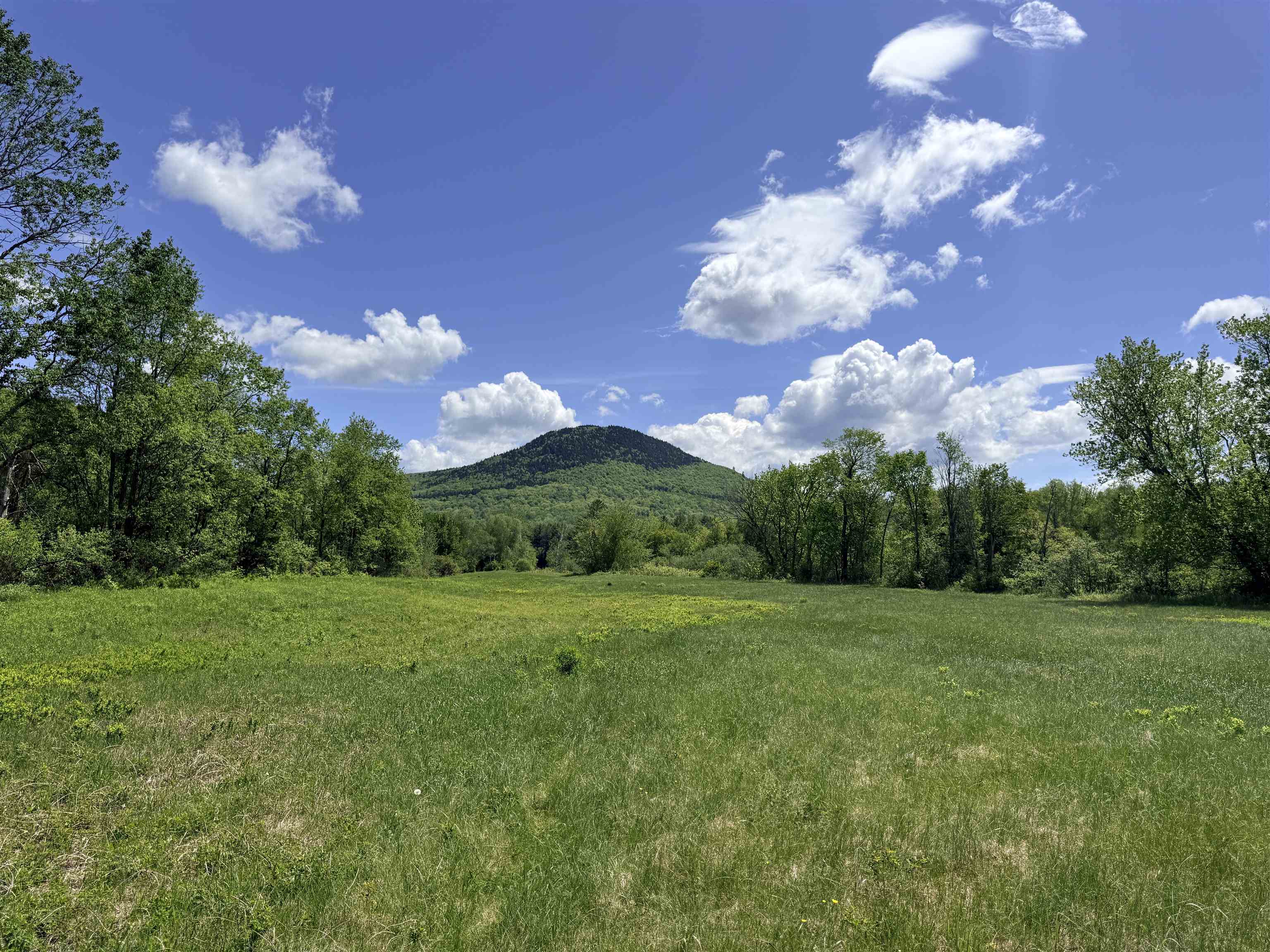 0 Northside Road Stark, NH 03582 - Photo 11 of 27