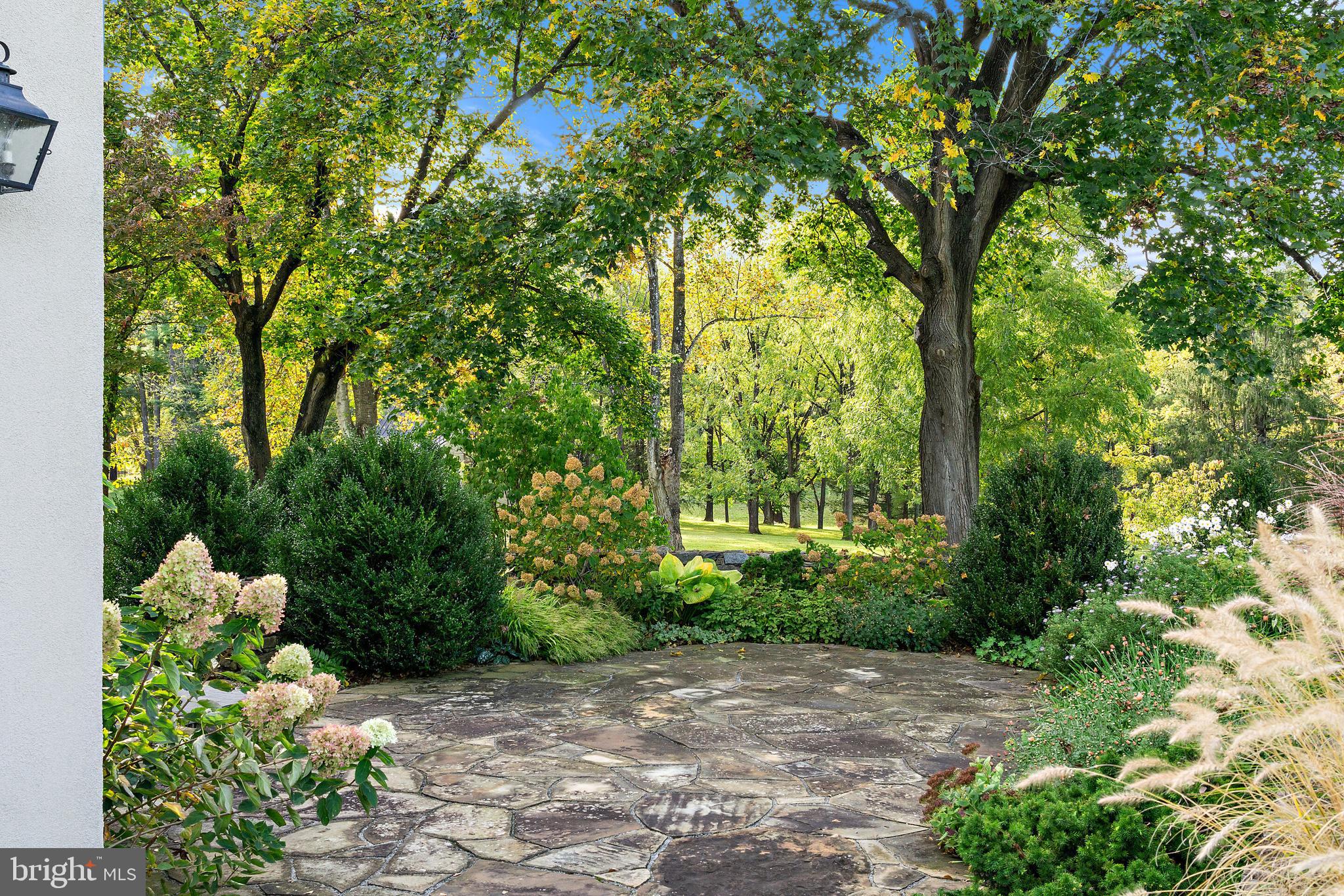 171 Little Long Mountain Road Huntly, VA 22627 - Photo 31 of 50 Patio
