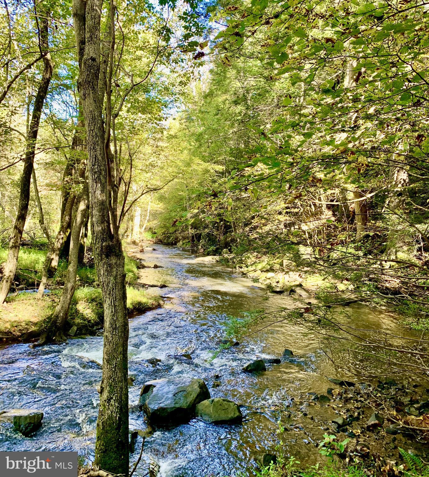 171 Little Long Mountain Road Huntly, VA 22627 - Photo 32 of 50