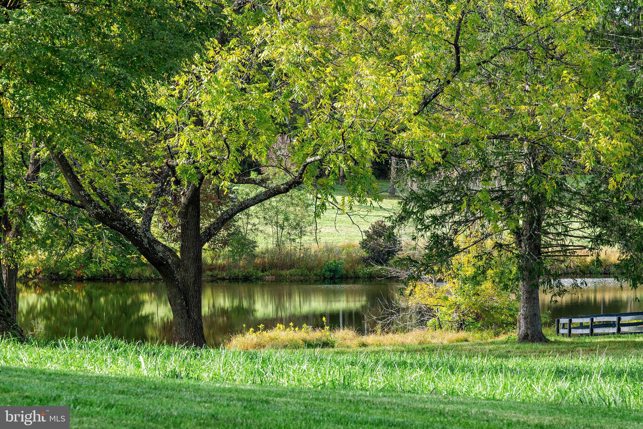 171 Little Long Mountain Road Huntly, VA 22627 - Photo 33 of 50 Pond