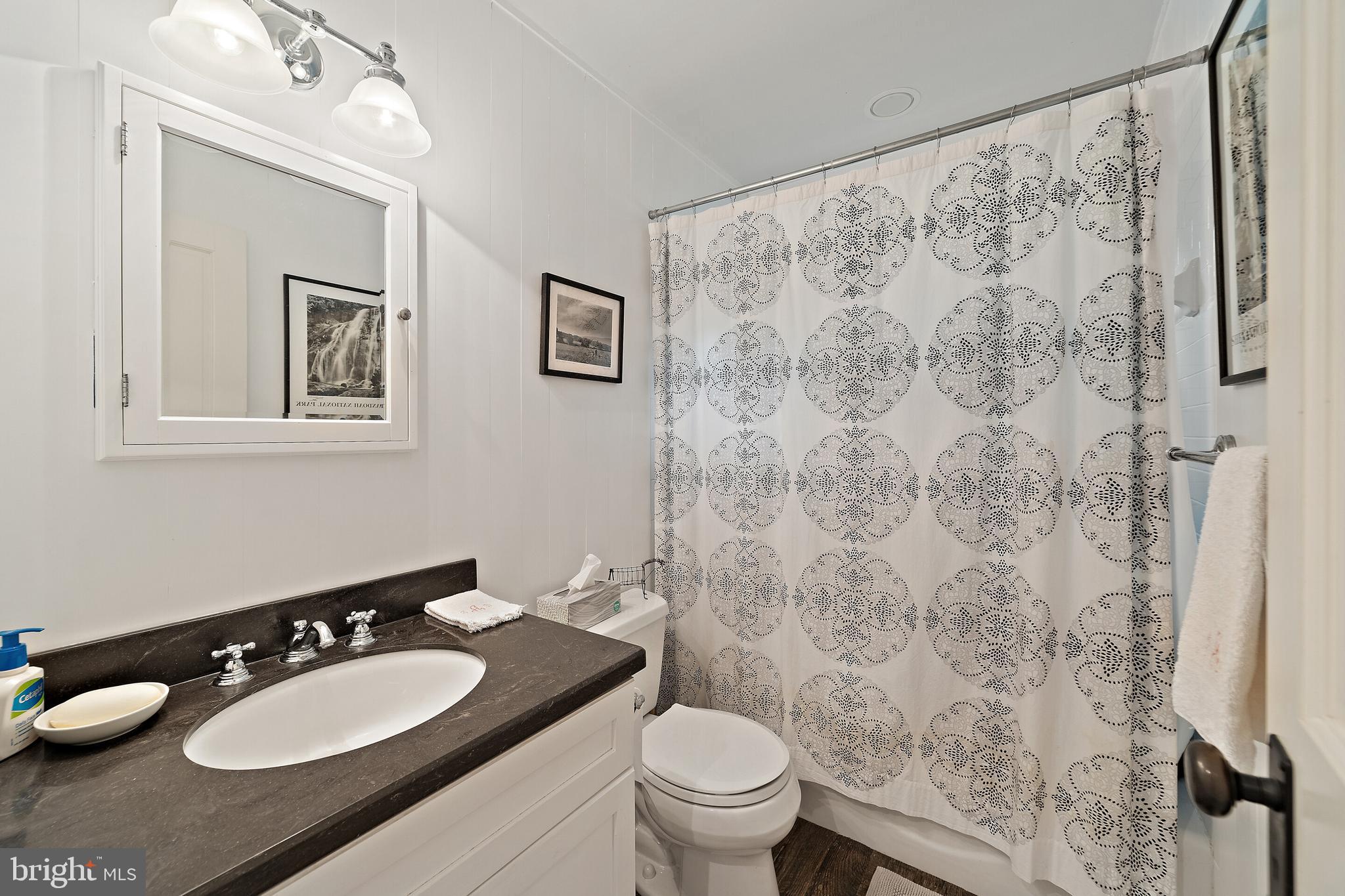 171 Little Long Mountain Road Huntly, VA 22627 - Photo 42 of 50 Full Bath
