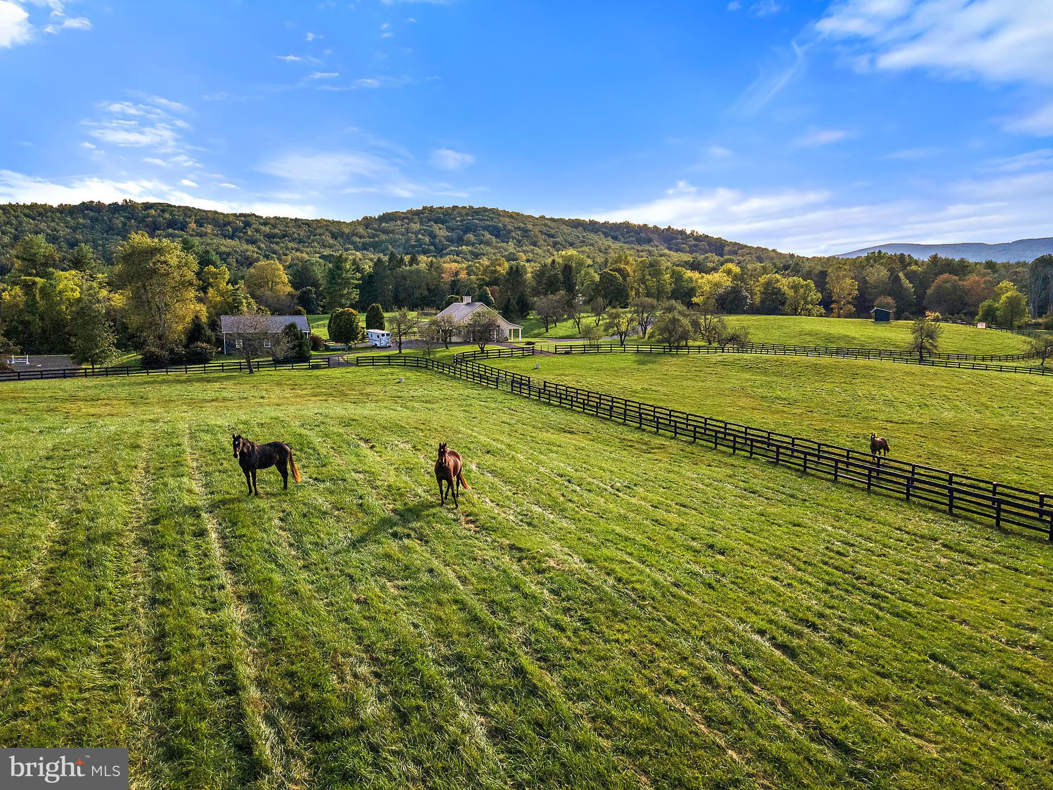 171 Little Long Mountain Road Huntly, VA 22627 - Photo 47 of 50 Pastures