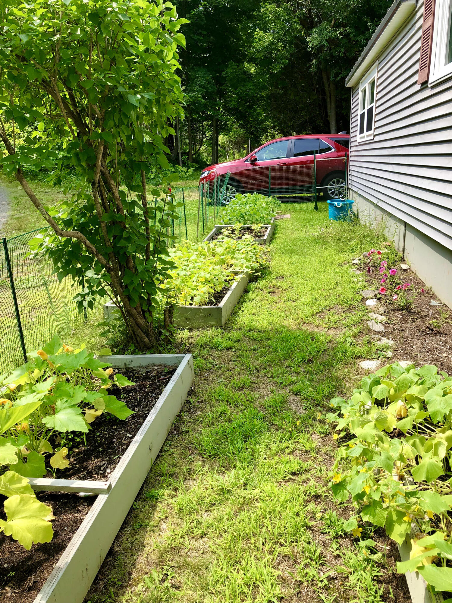 1512 Tremont Road Tremont, ME 04674 - Photo 7 of 39 Side veggie garden