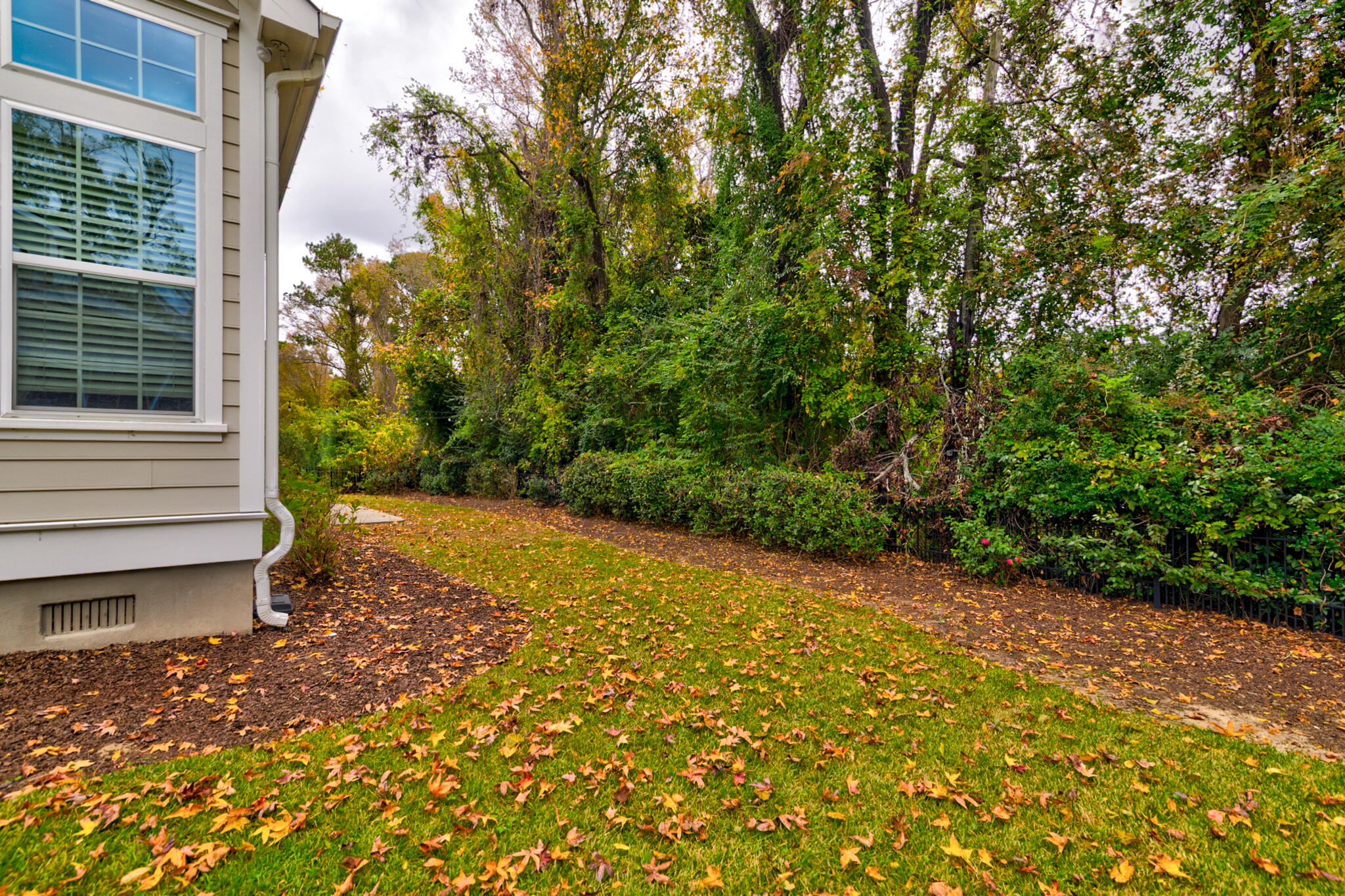 506 Rainsong Drive Charleston, SC 29412 - Photo 42 of 44 506 Rainsong - 47 - CMG