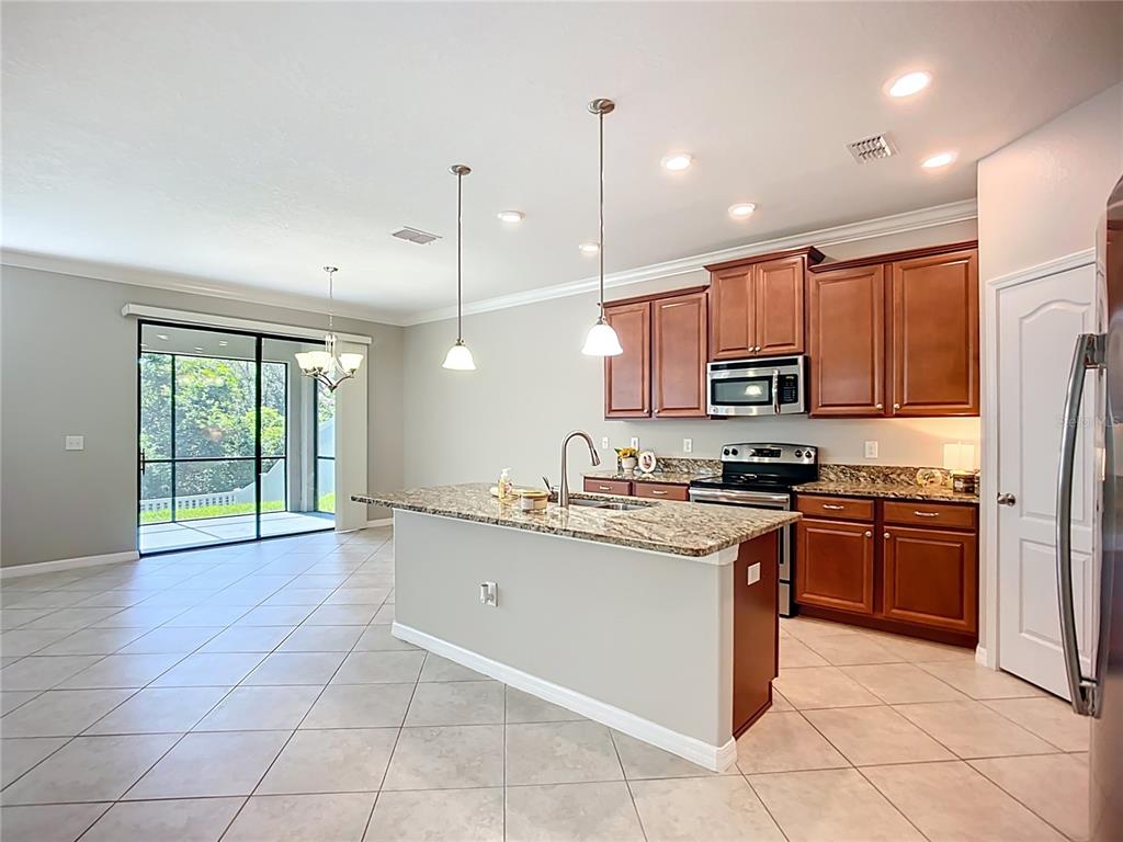 14240 Blue Dasher Drive Riverview, FL 33569 - Photo 19 of 66 a kitchen with stainless steel appliances granite countertop a stove top oven a sink dishwasher a refrigerator and a microwave