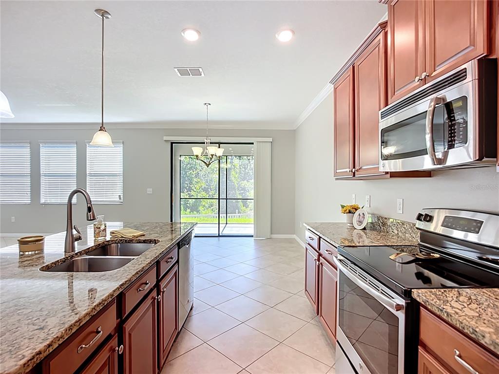 14240 Blue Dasher Drive Riverview, FL 33569 - Photo 27 of 66 a kitchen with stainless steel appliances granite countertop a sink stove and cabinets