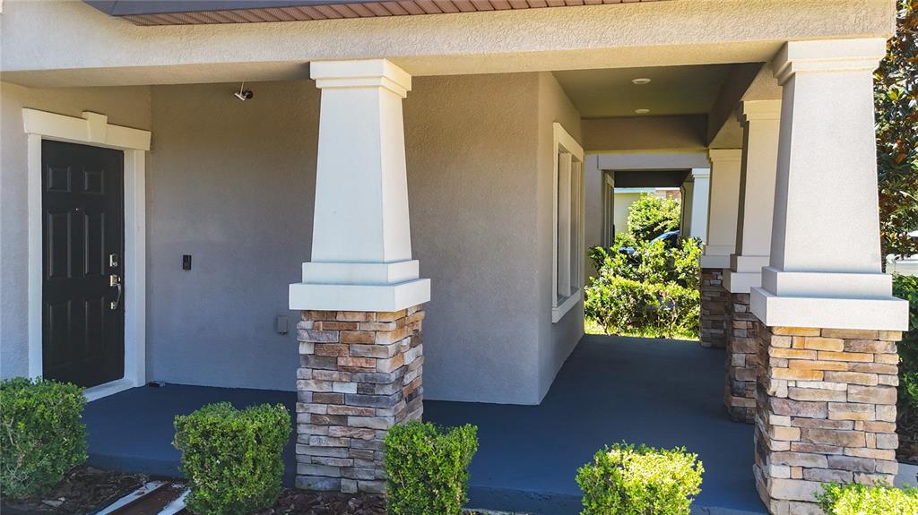 14240 Blue Dasher Drive Riverview, FL 33569 - Photo 5 of 66 a front view of a house with potted plants