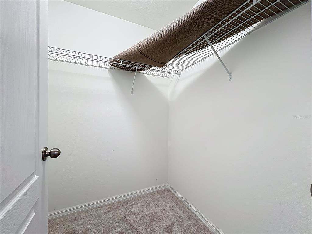 14240 Blue Dasher Drive Riverview, FL 33569 - Photo 53 of 66