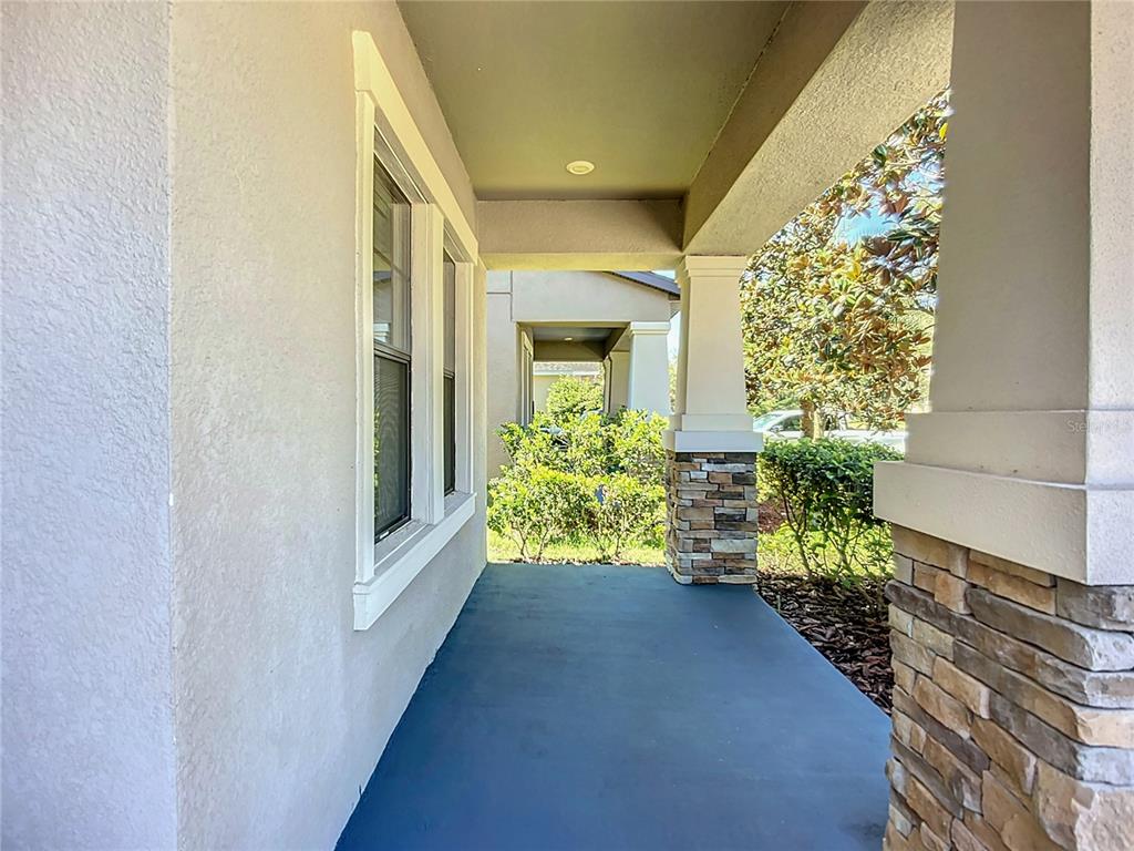 14240 Blue Dasher Drive Riverview, FL 33569 - Photo 6 of 66