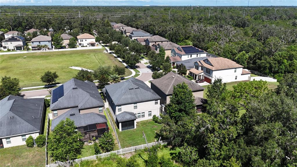 14240 Blue Dasher Drive Riverview, FL 33569 - Photo 62 of 66 an aerial view of house with yard