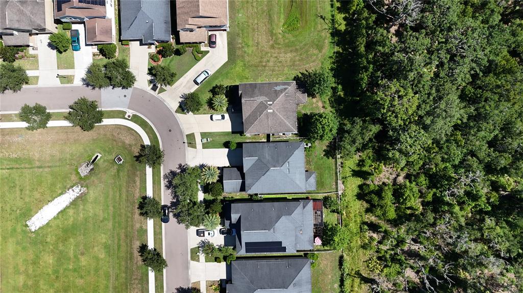 14240 Blue Dasher Drive Riverview, FL 33569 - Photo 65 of 66