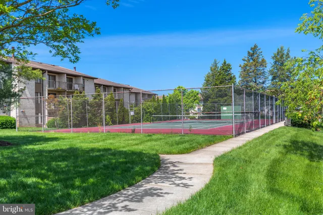 a view of a backyard with a small cabin