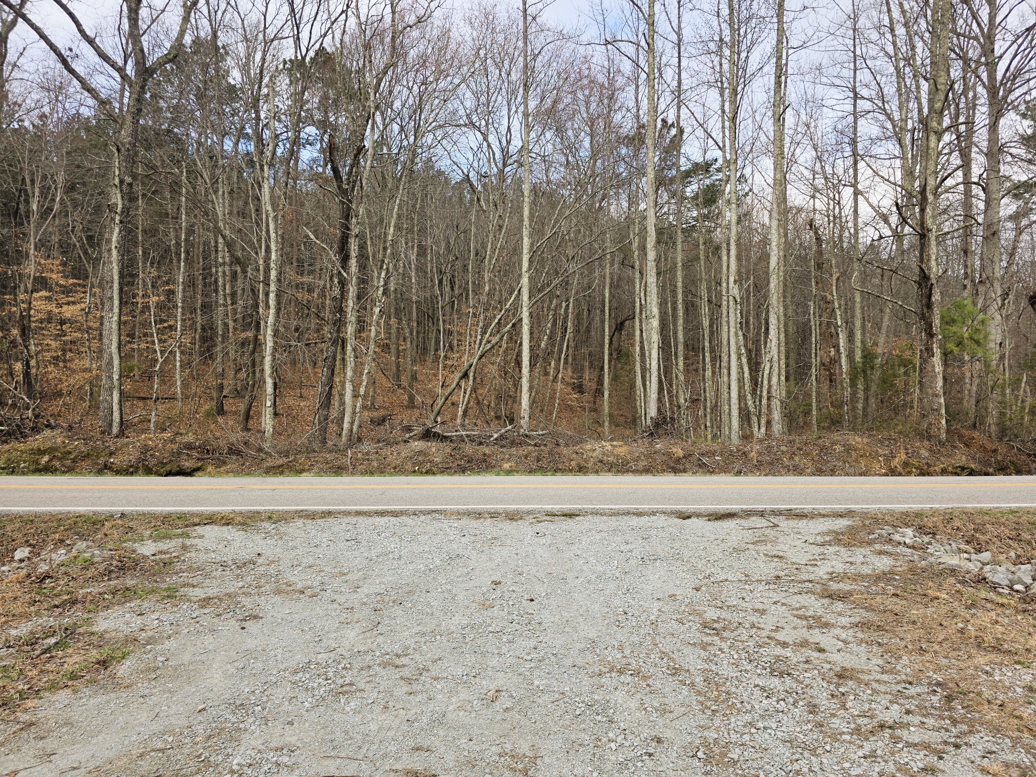0 Birdsong Road Holladay, TN 38341 - Photo 66 of 70