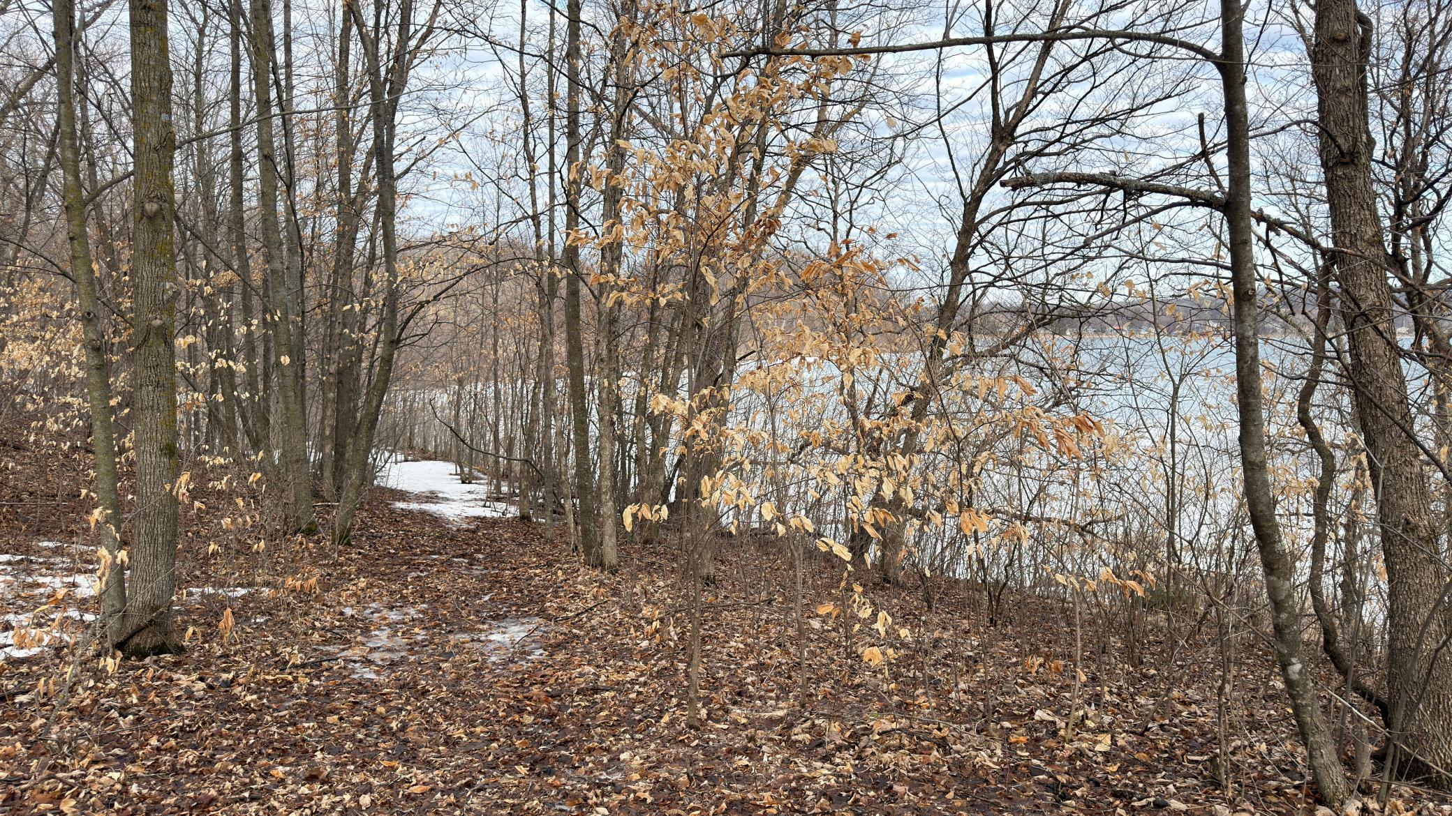 Lot 11 West Stalker Road Dalton, MN 56324 - Photo 23 of 27