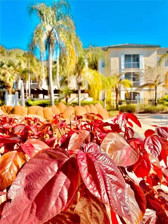 $1,850 | 8908 Legacy Court, Unit 16 103, Kissimmee, FL 34747