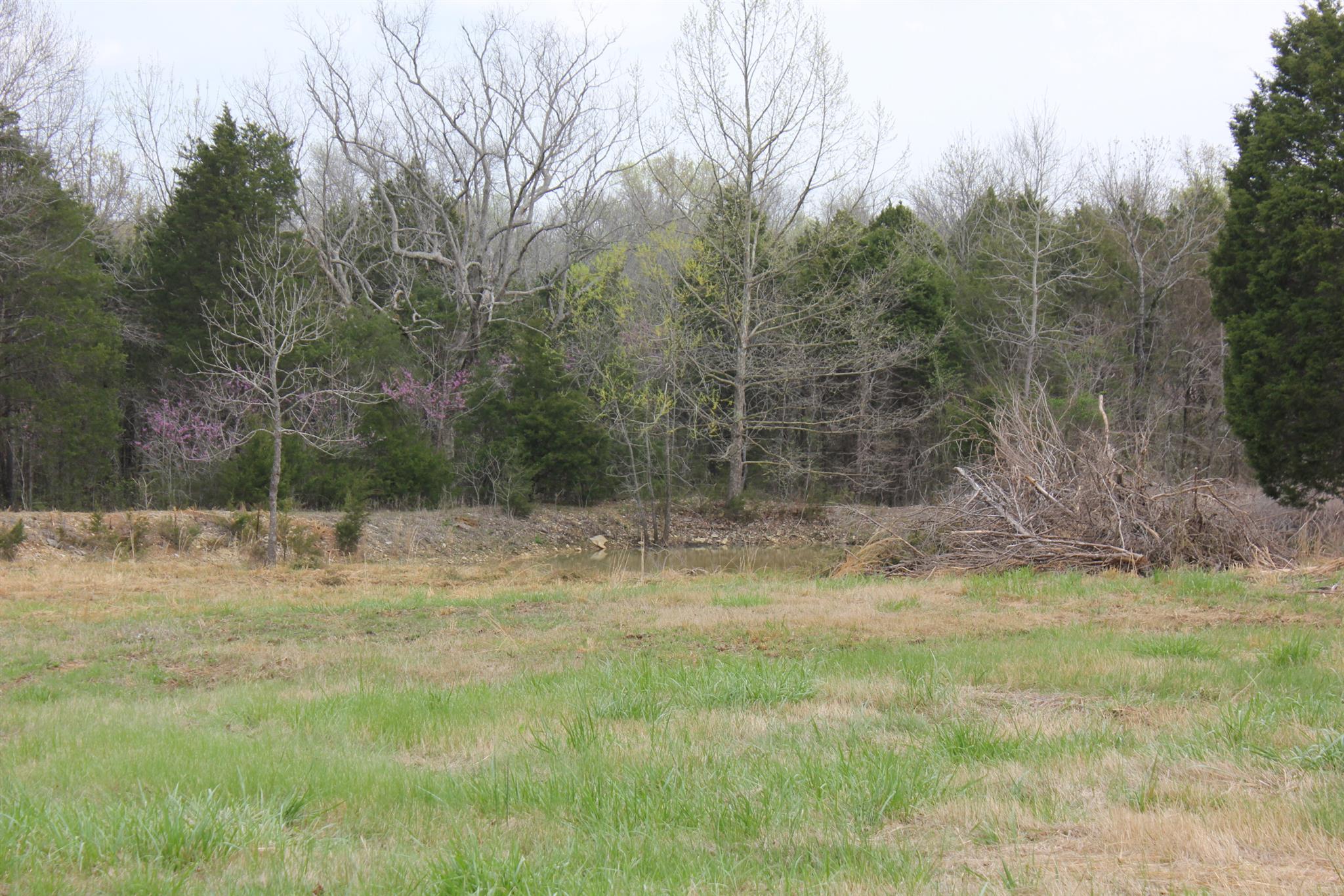 3067 Ownby Road Lewisburg, TN 37091 - Photo 26 of 30 Gallery Image 26