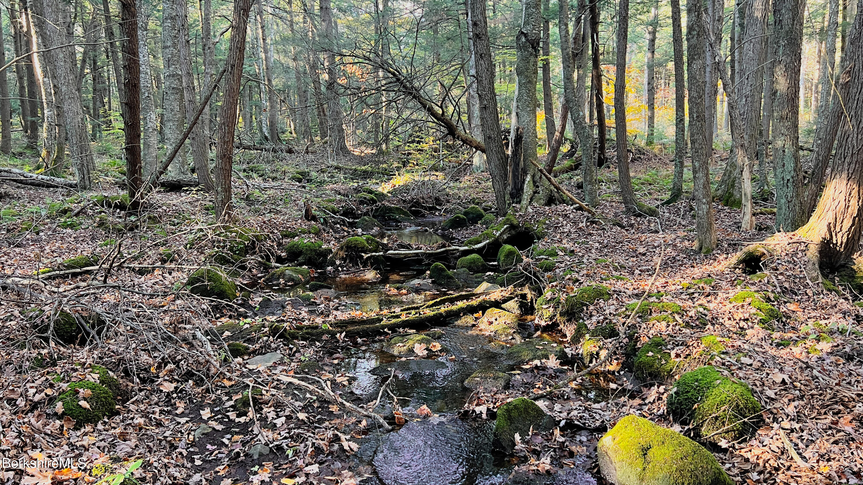 Lot1 Marcy Road Otis, MA 01253 - Photo 3 of 16 MARCY ROAD