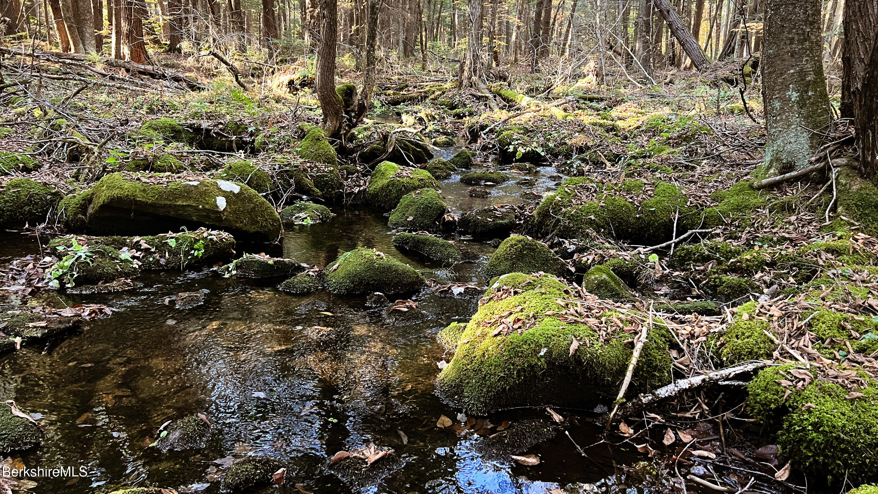 Lot1 Marcy Road Otis, MA 01253 - Photo 4 of 16 MARCY ROAD