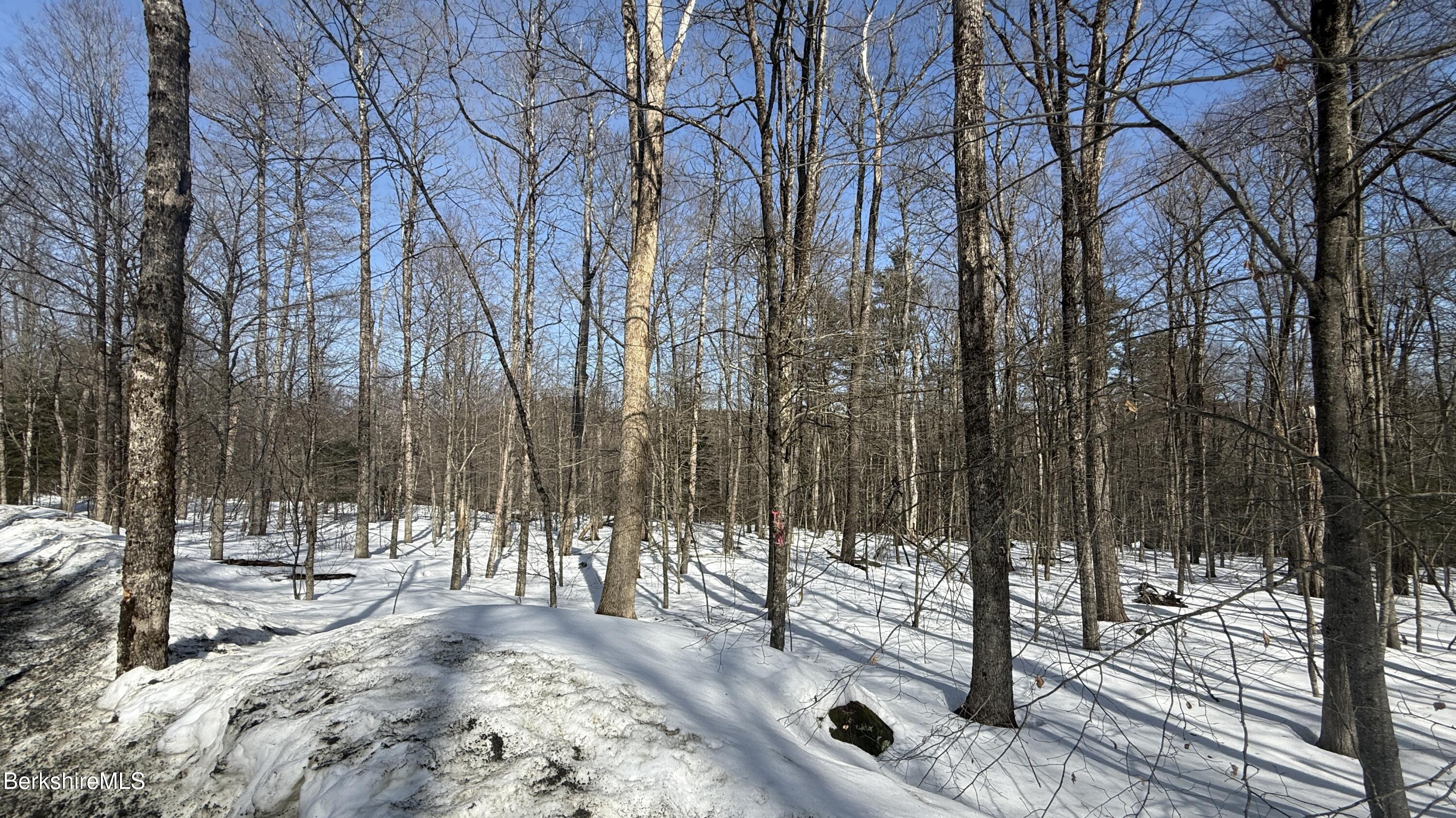 Lot1 Marcy Road Otis, MA 01253 - Photo 9 of 16 MARCY ROAD