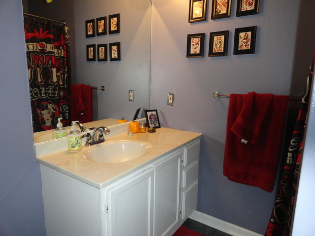 212 Chicago Road Oswego, IL 60543 - Photo 8 of 10 a bathroom with a sink and a mirror