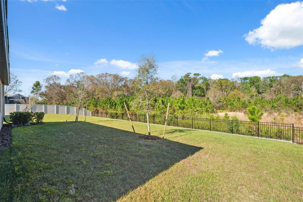 16787 Shell Bay Drive Land O Lakes, FL 34638 - Photo 25 of 54 a view of an outdoor space and a yard