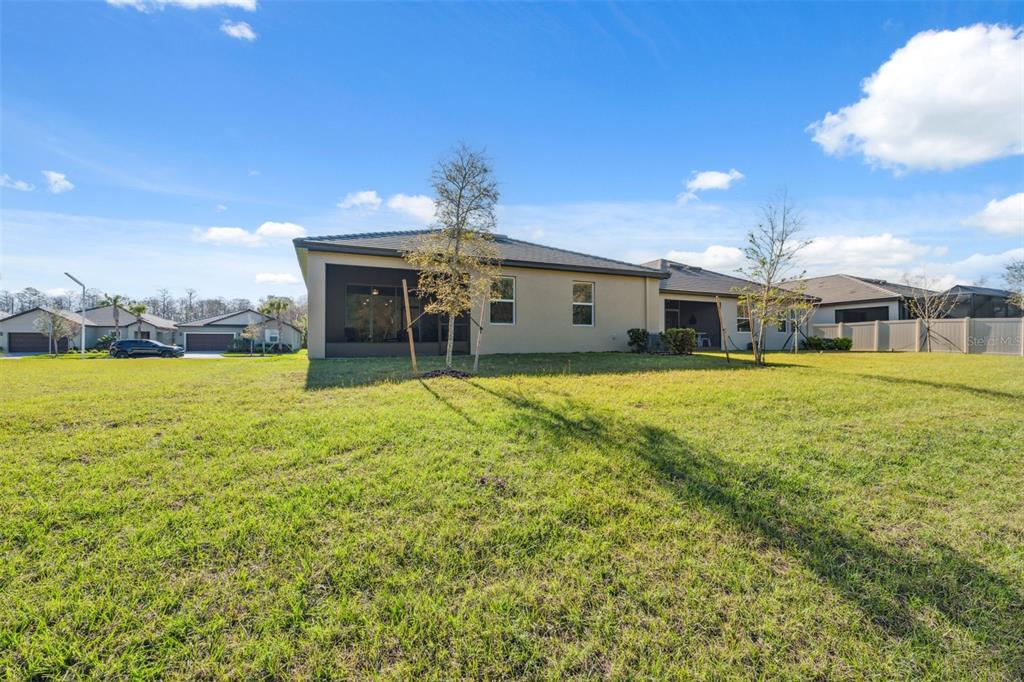 16787 Shell Bay Drive Land O Lakes, FL 34638 - Photo 26 of 54 a view of a house with a yard
