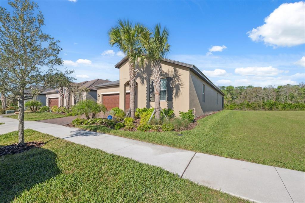 16787 Shell Bay Drive Land O Lakes, FL 34638 - Photo 28 of 54 a front view of a house with a yard and potted plants