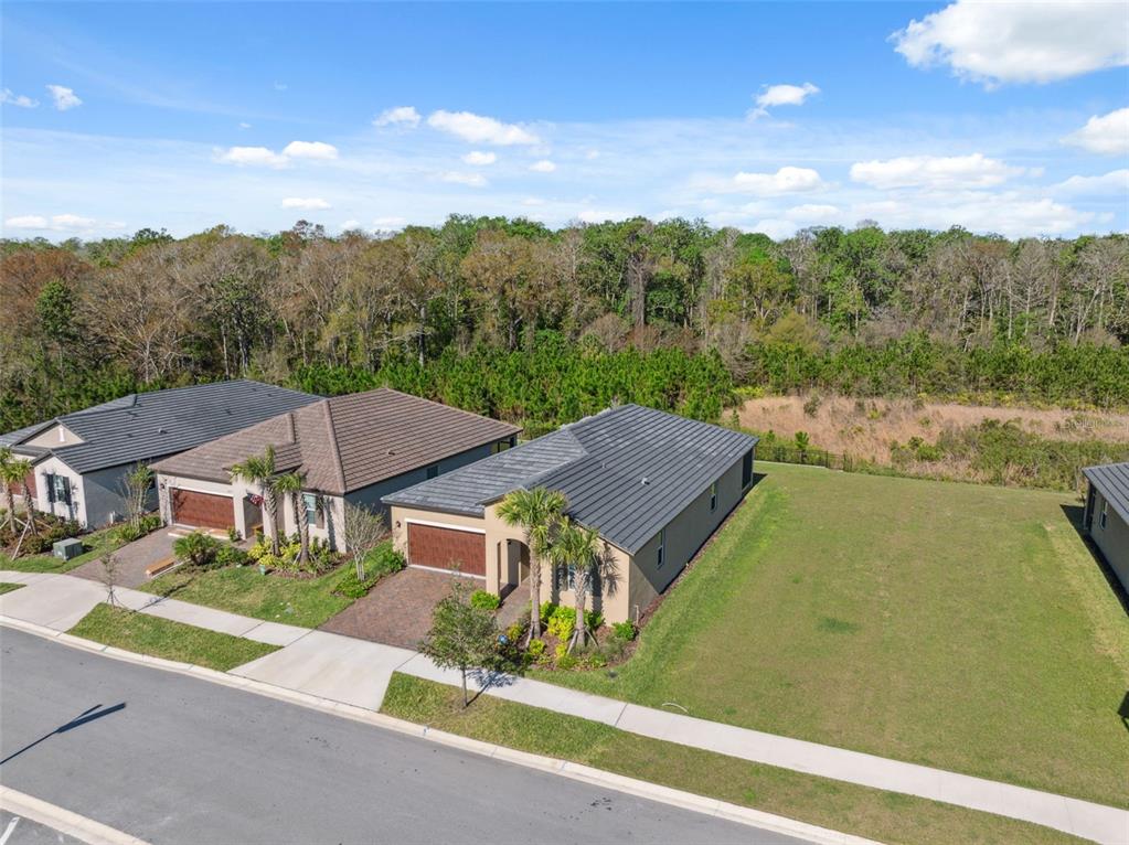 16787 Shell Bay Drive Land O Lakes, FL 34638 - Photo 29 of 54 an aerial view of a house