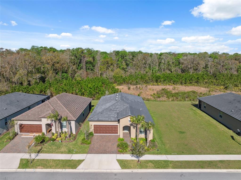 16787 Shell Bay Drive Land O Lakes, FL 34638 - Photo 30 of 54 an aerial view of a house