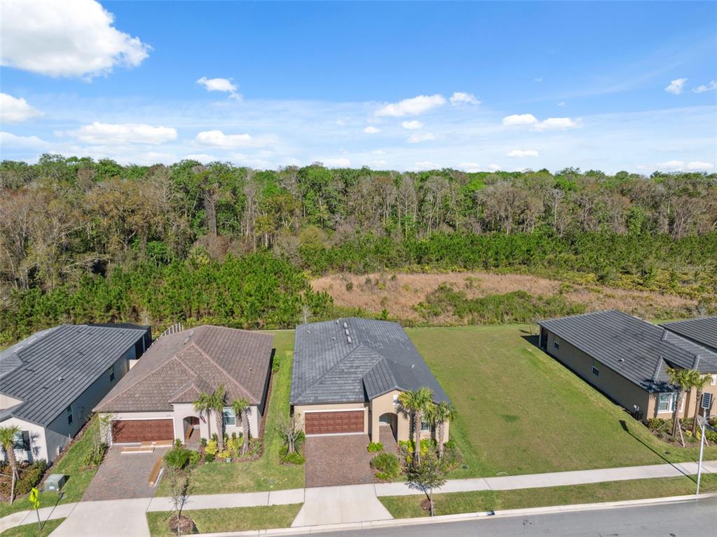 16787 Shell Bay Drive Land O Lakes, FL 34638 - Photo 31 of 54