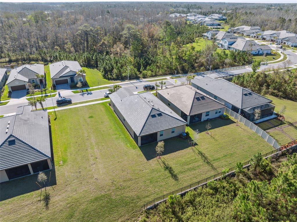 16787 Shell Bay Drive Land O Lakes, FL 34638 - Photo 32 of 54 a view of a house with a swimming pool