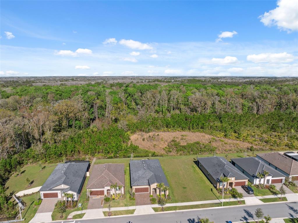 16787 Shell Bay Drive Land O Lakes, FL 34638 - Photo 35 of 54 a view of a city