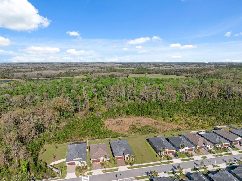 16787 Shell Bay Drive Land O Lakes, FL 34638 - Photo 36 of 54 a view of a city
