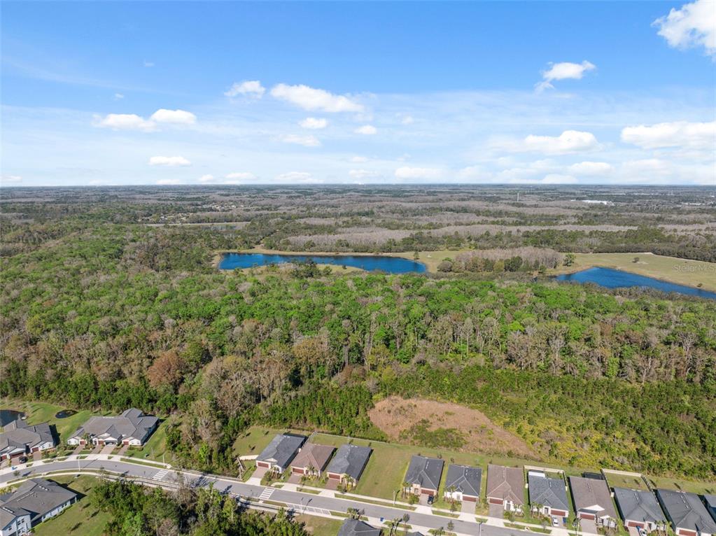 16787 Shell Bay Drive Land O Lakes, FL 34638 - Photo 39 of 54 a view of a city