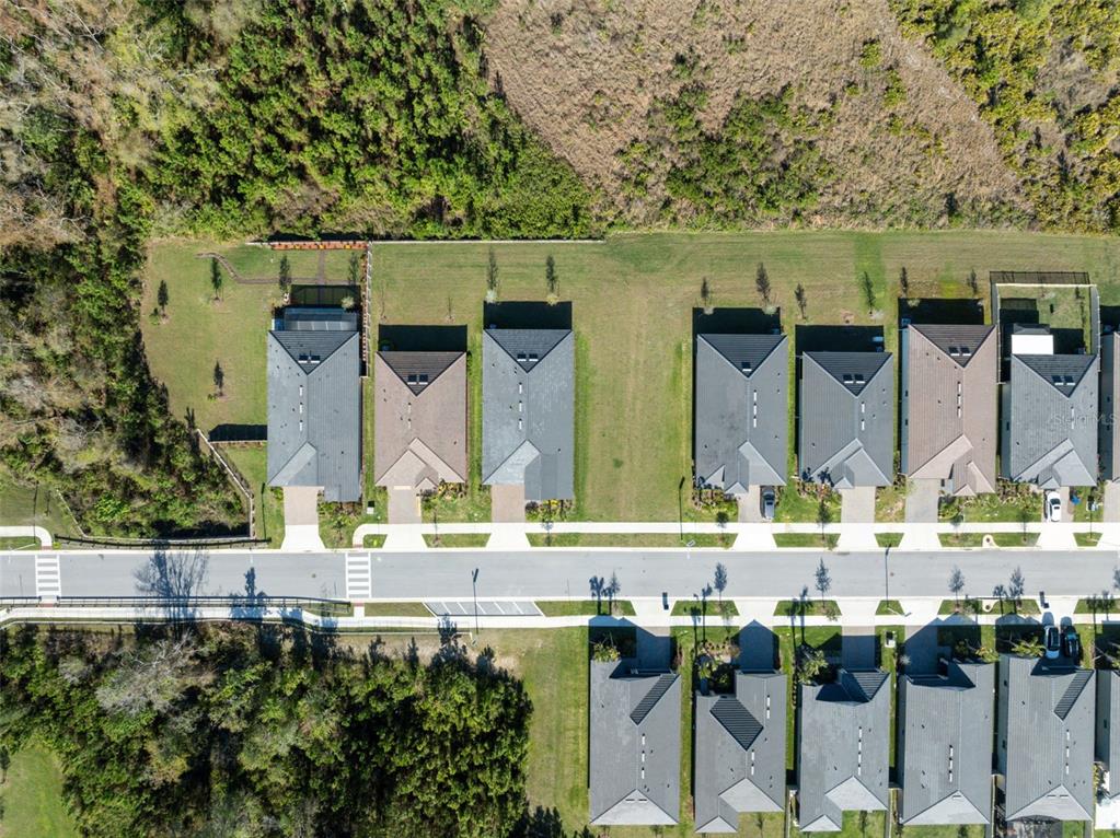 16787 Shell Bay Drive Land O Lakes, FL 34638 - Photo 40 of 54 an aerial view of a house with a swimming pool