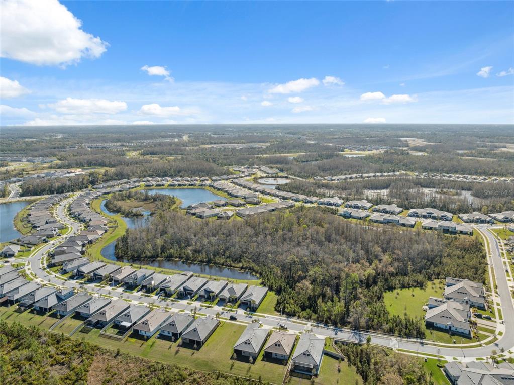 16787 Shell Bay Drive Land O Lakes, FL 34638 - Photo 41 of 54 an aerial view of residential houses with outdoor space