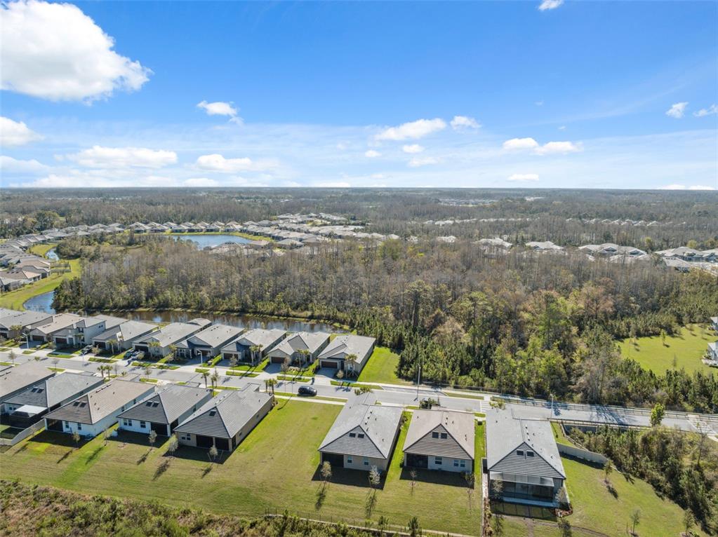 16787 Shell Bay Drive Land O Lakes, FL 34638 - Photo 43 of 54 a view of a lake in middle of the town