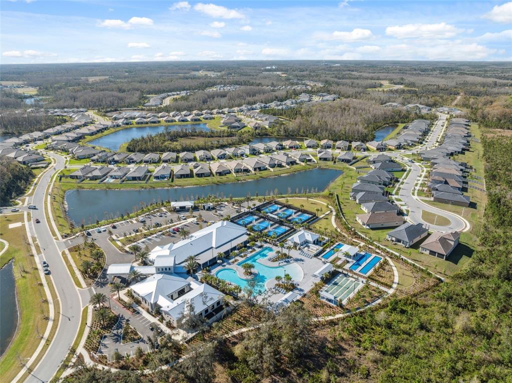 16787 Shell Bay Drive Land O Lakes, FL 34638 - Photo 47 of 54 an aerial view of multiple house