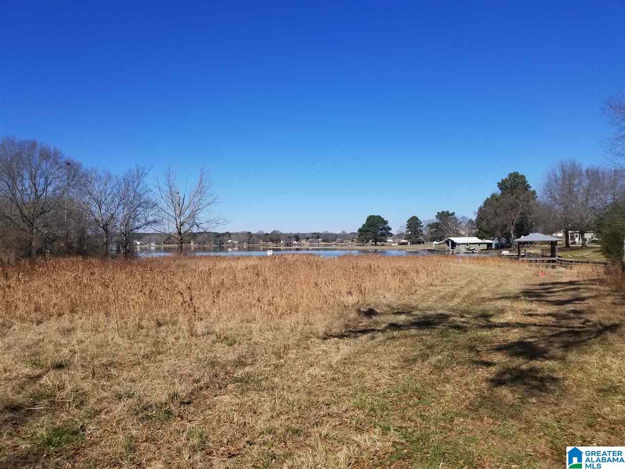 796 Heasletts Road Childersburg, AL 35044 - Photo 4 of 19