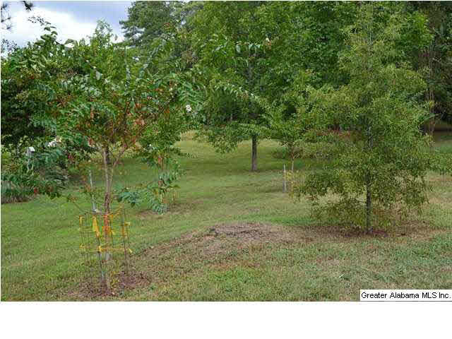 550 Cobb Road Oxford, AL 36203 - Photo 8 of 31