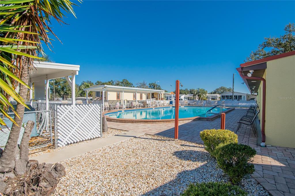 37526 Rio Lane Zephyrhills, FL 33541 - Photo 46 of 58 a view of a swimming pool with a lounge chairs and potted plants