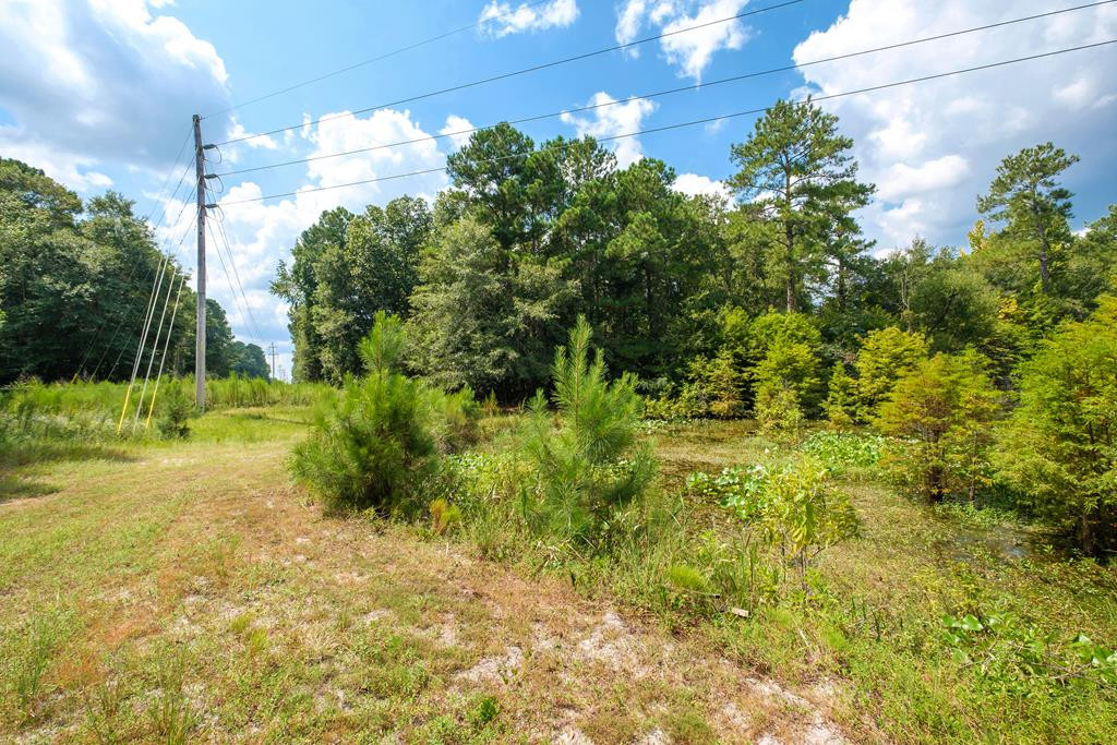 56 Vining Road Sumter, SC 29150 - Photo 46 of 49 Gallery Image 46