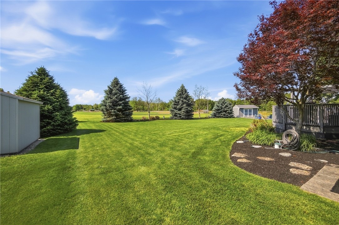 710 Governors Road Troy, OH 45373 - Photo 53 of 56 An expansive yard offers serene green space, perfectly manicured for outdoor enjoyment.