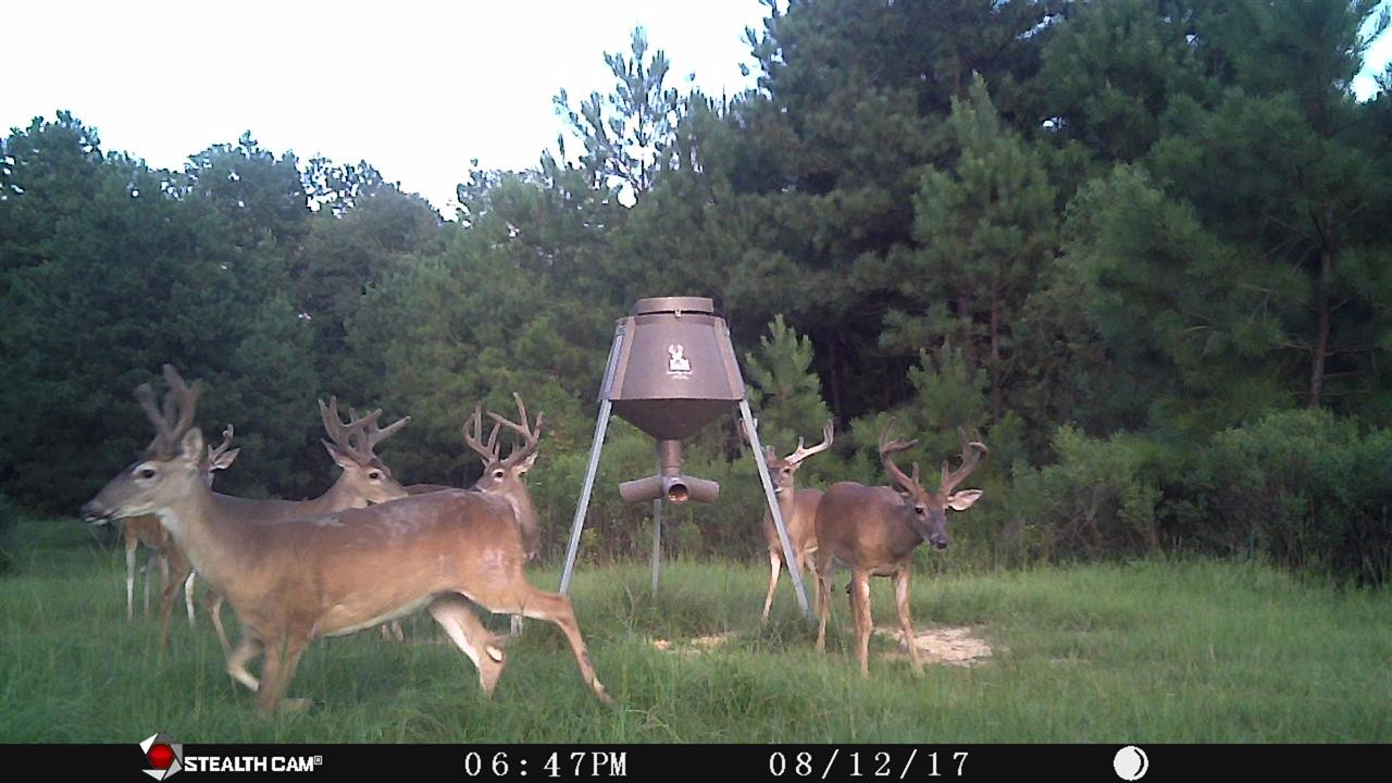 4365 Greens Crossing Road Ridgeland, MS 39157 - Photo 4 of 30 Photo 4