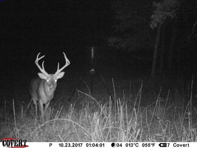 4365 Greens Crossing Road Ridgeland, MS 39157 - Photo 6 of 30 Photo 6