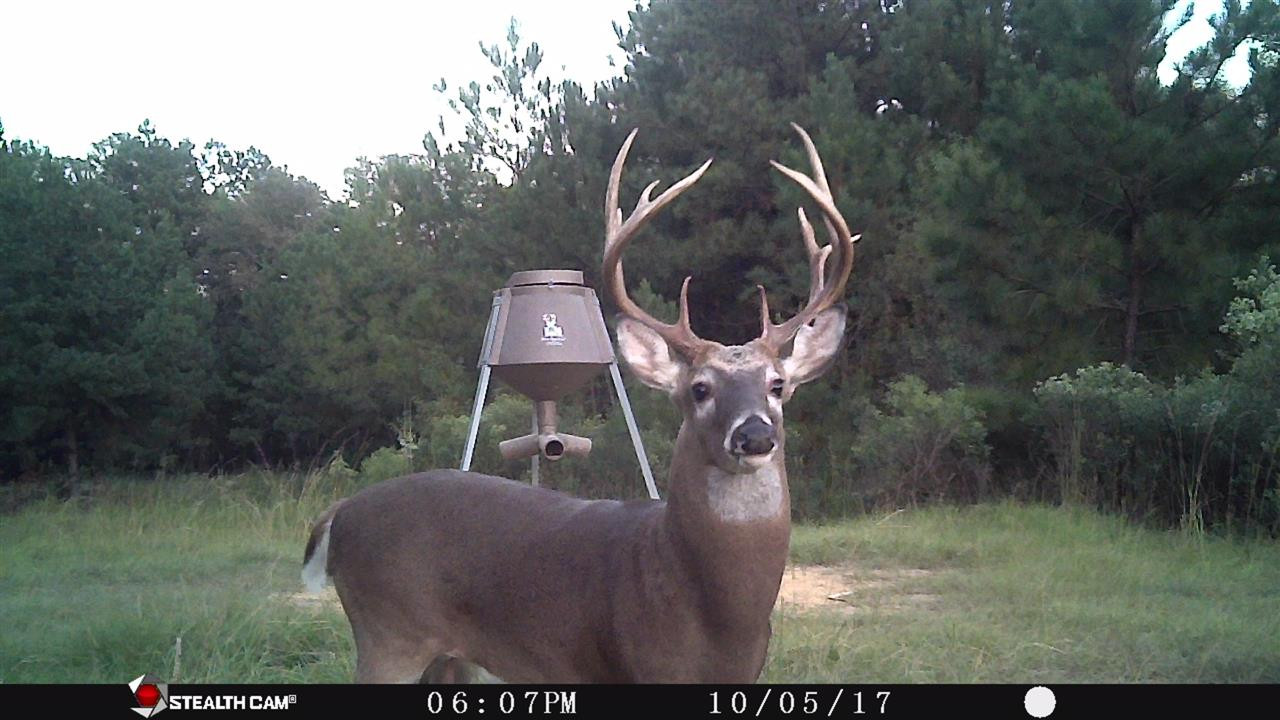4365 Greens Crossing Road Ridgeland, MS 39157 - Photo 10 of 30 Photo 10