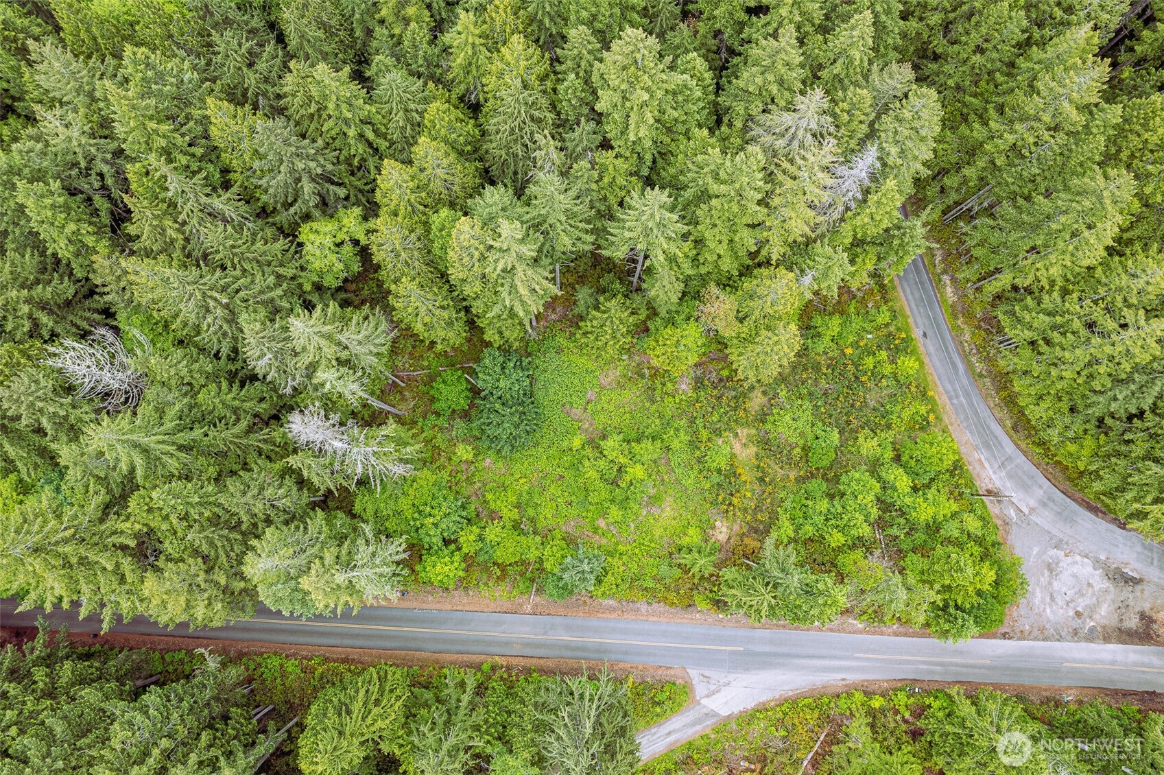 811 Herron Road Northwest Lakebay, WA 98349 - Photo 5 of 11 a view of a yard from a balcony