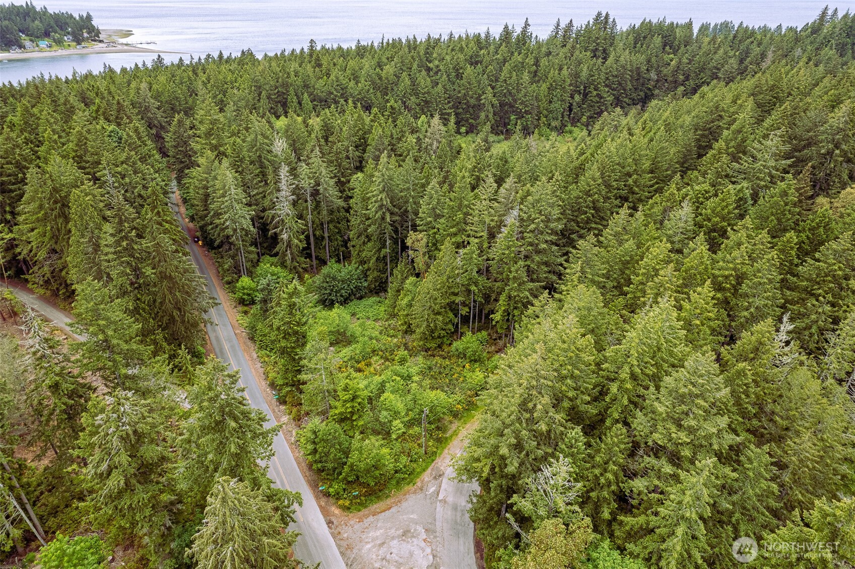 811 Herron Road Northwest Lakebay, WA 98349 - Photo 7 of 11 a view of a forest with a street