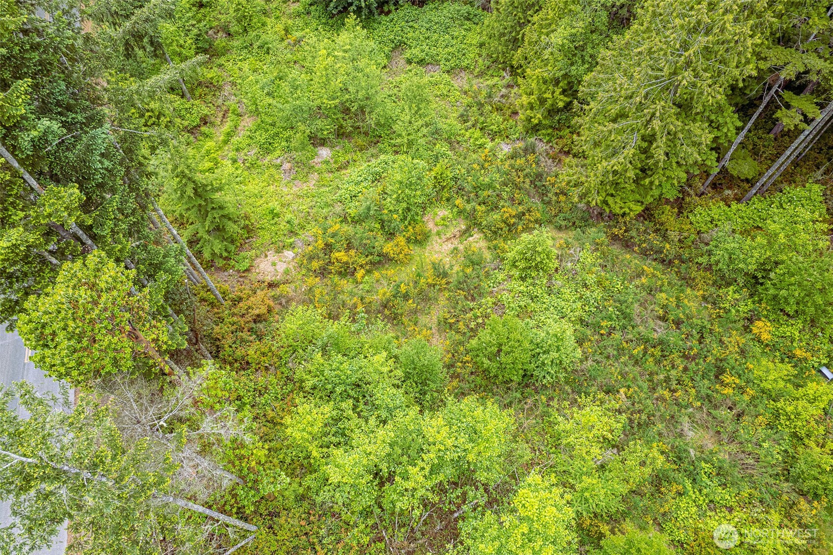 811 Herron Road Northwest Lakebay, WA 98349 - Photo 8 of 11 a view of a green field